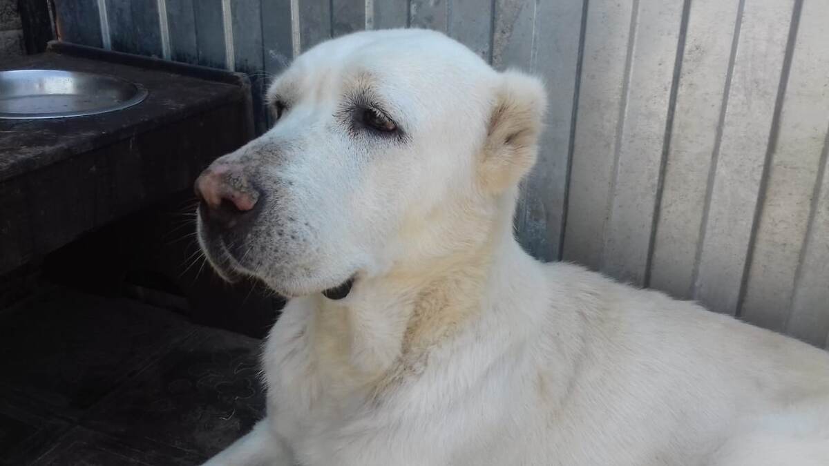 так стало...