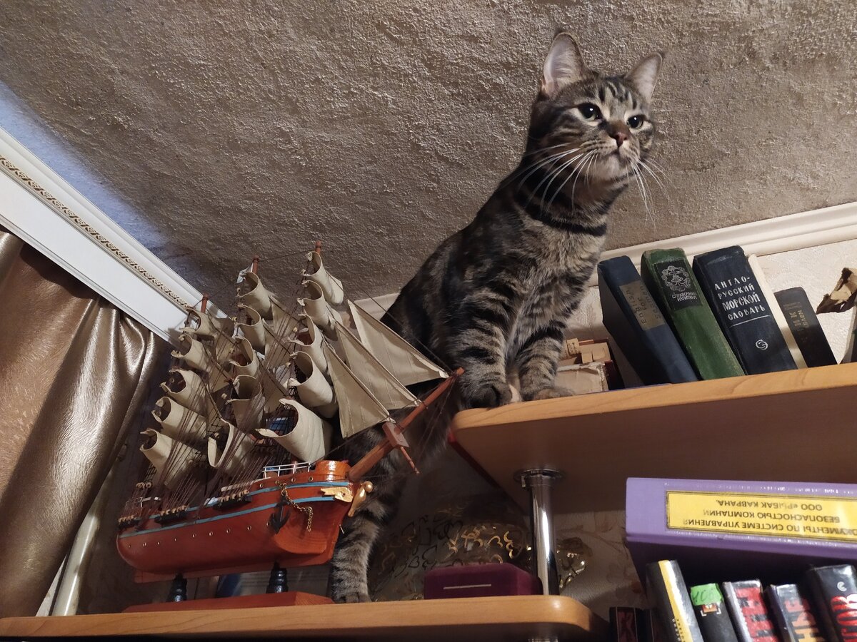 Маркиза жаждет приключений. Фото из личного архива.  IMG_20200918_095131