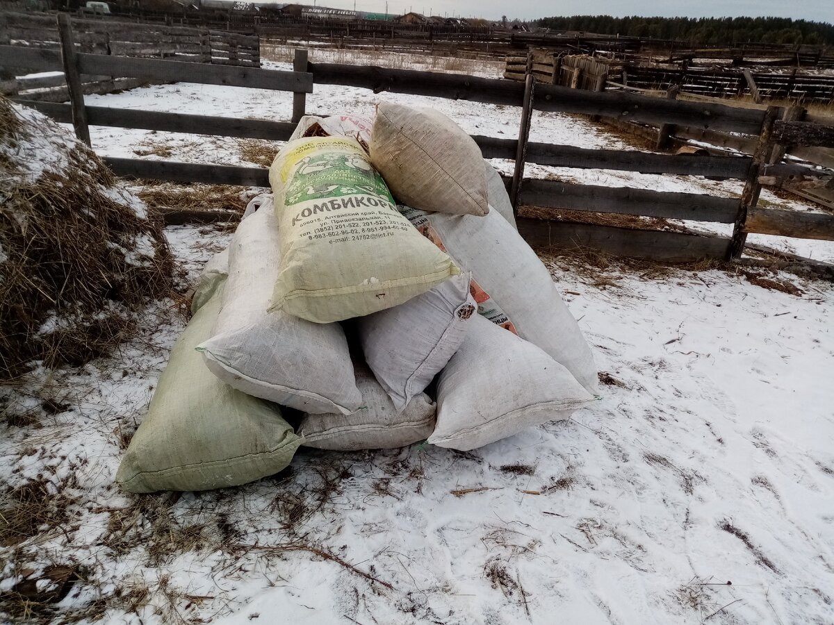 Немного, всё лучше, чем ничего. Фото автора.