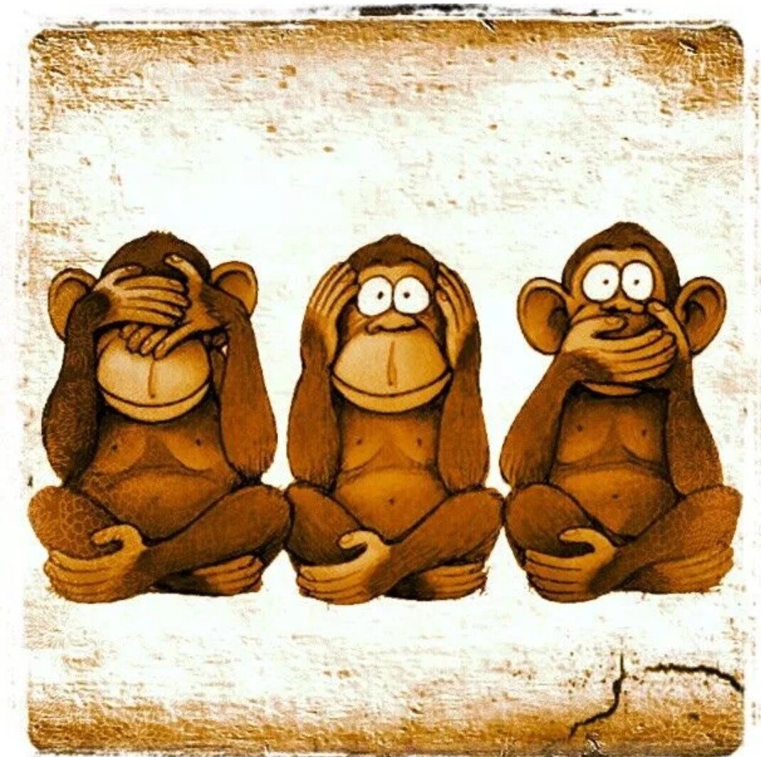 Не вижу, не слышу, ничего никому не скажу (с) 