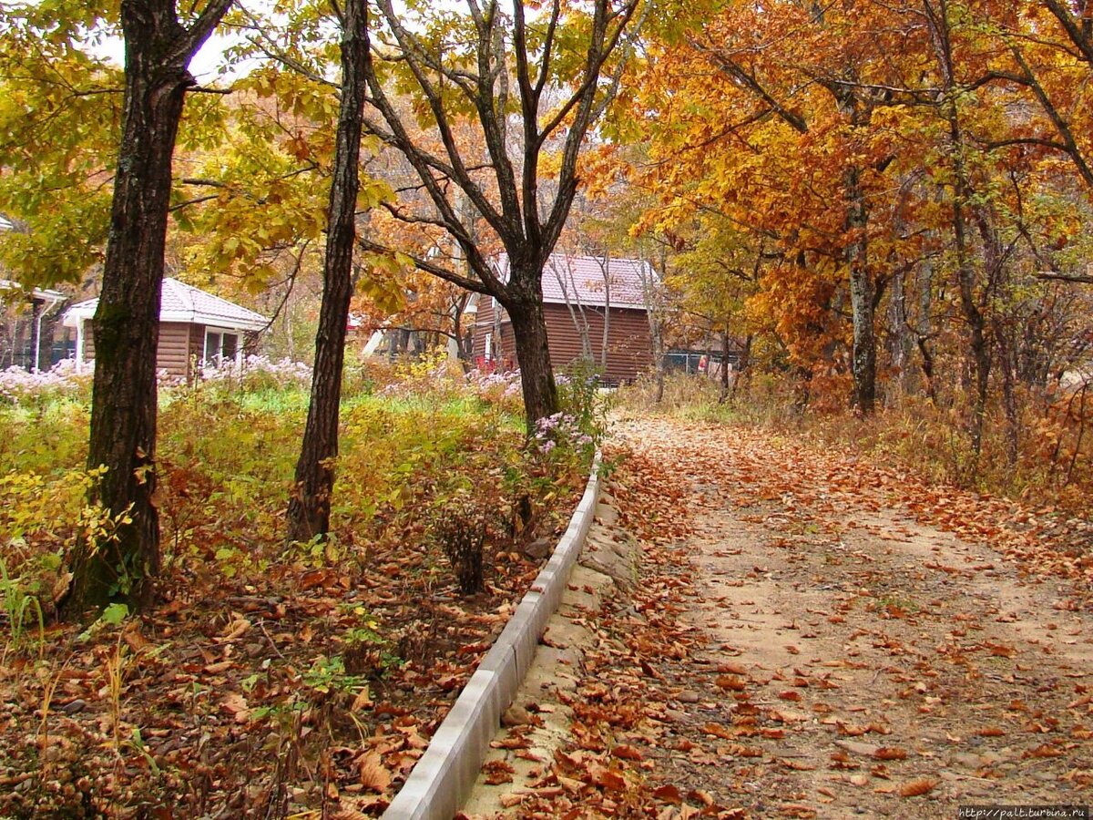 Осенний маршрут. Трасса осень. Осенний пляж. Осень маршрут выходного дня.