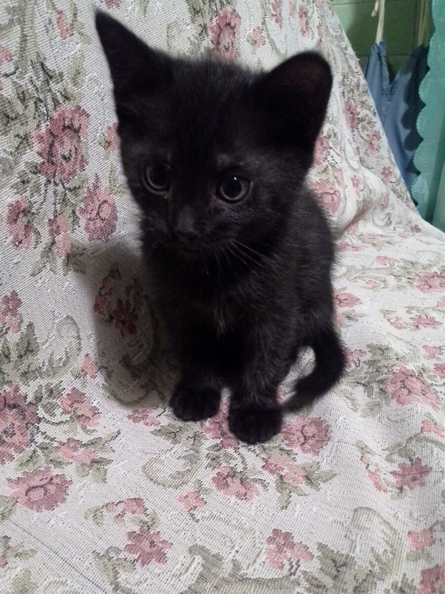 Маленькая Бася.