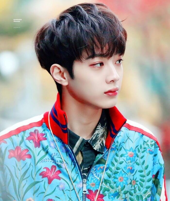 Яндекс картинки 