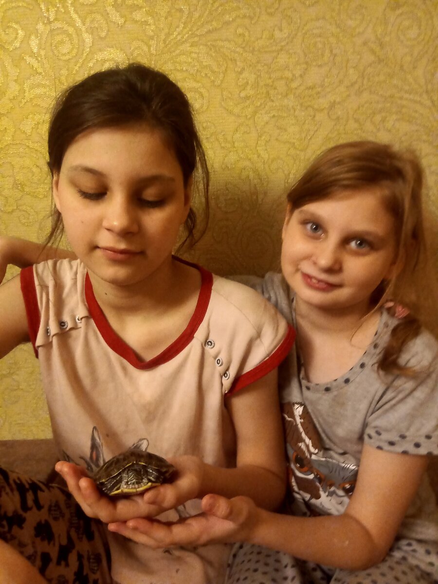 ЭТО НАША КРАСНОУХАЯ ЧЕРЕПАШКА АНЖЕЛА