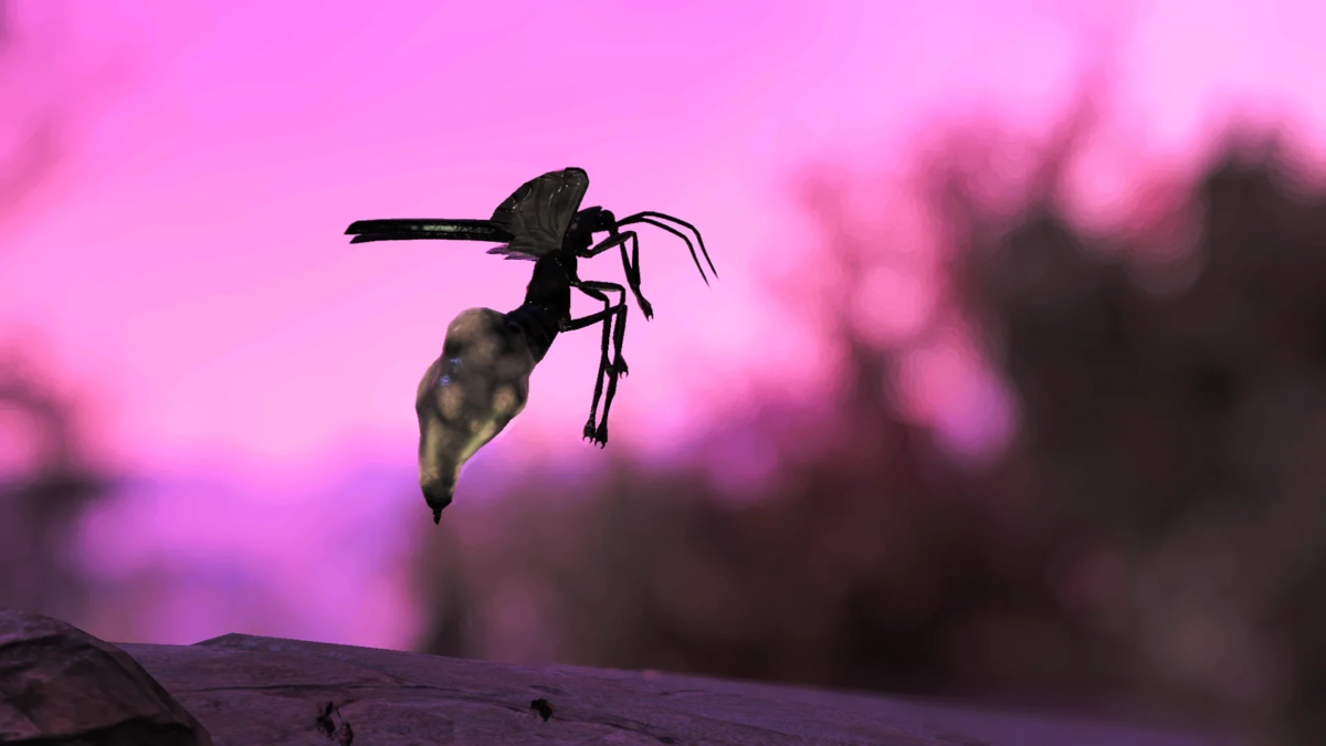 Фото Светлячка