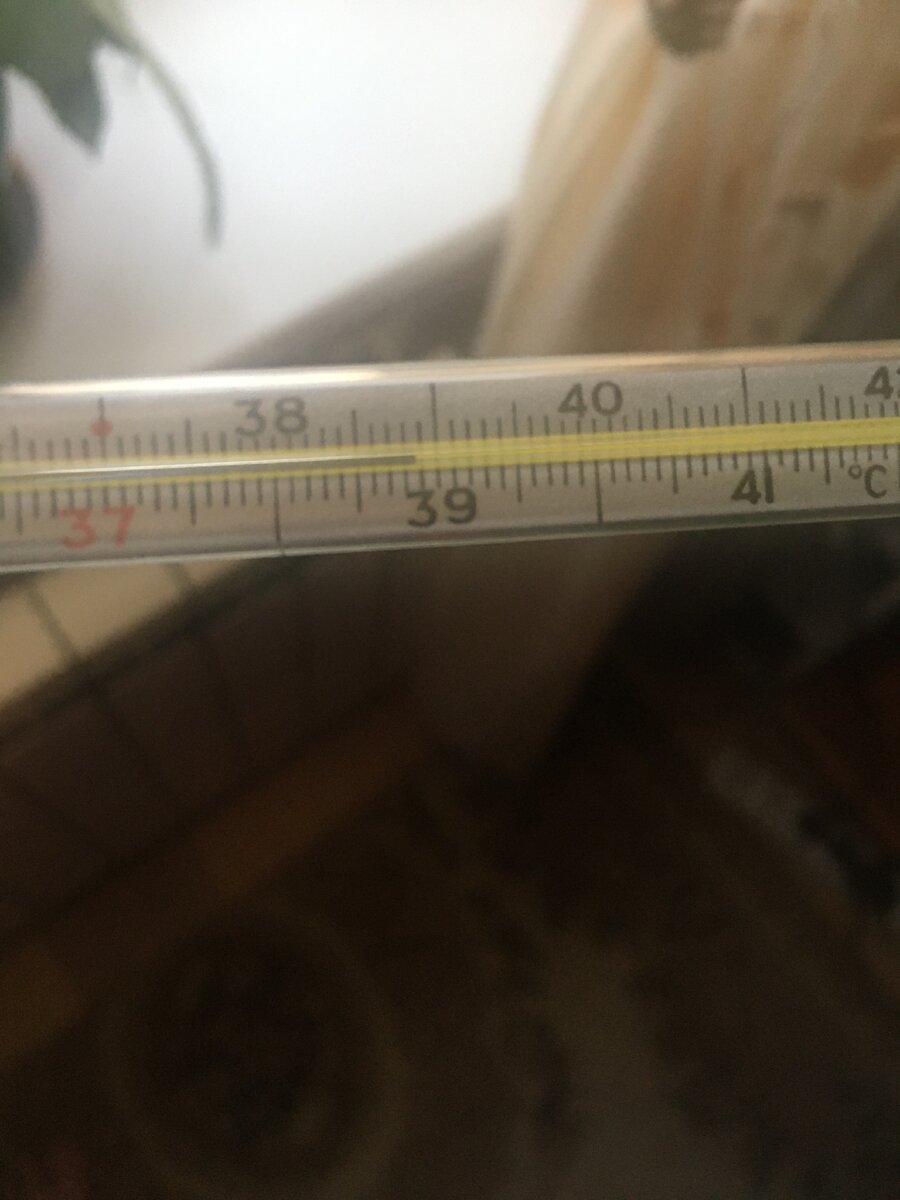 В понедельник в ночи температура поднялась до 38,5. 