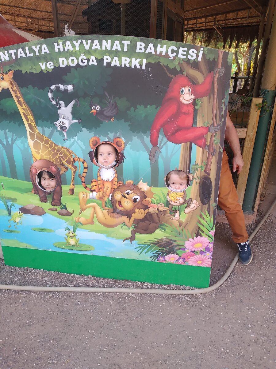 Пока дома никого не завели, пропадаем в зоопарке 