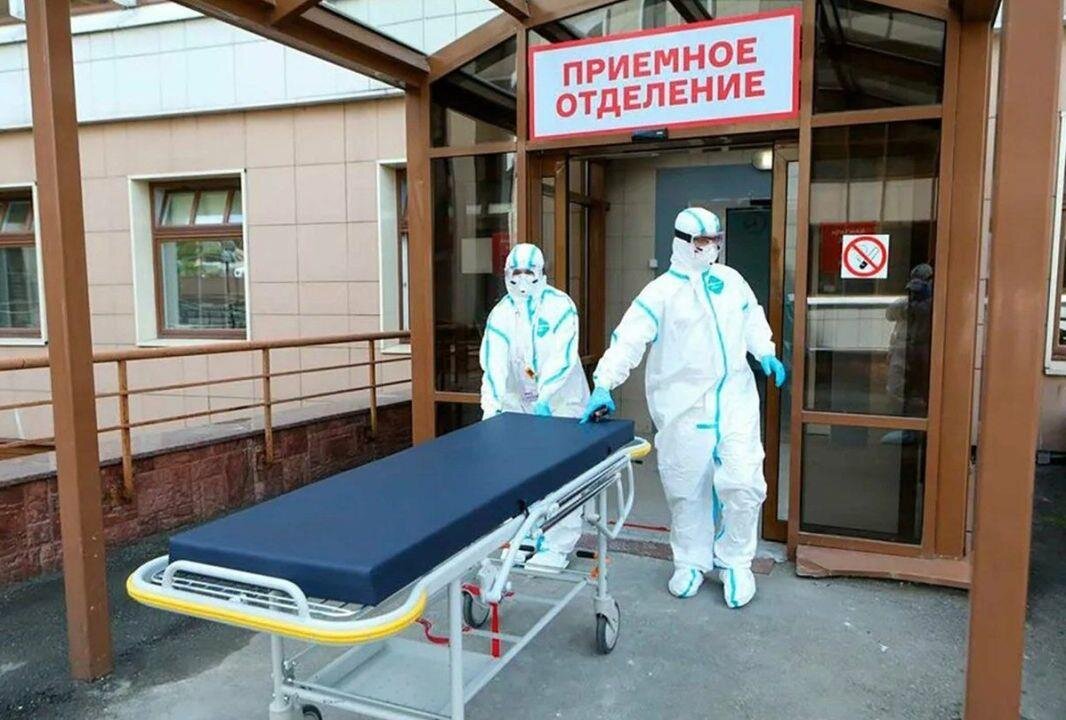 Фото — gubdaily.ru