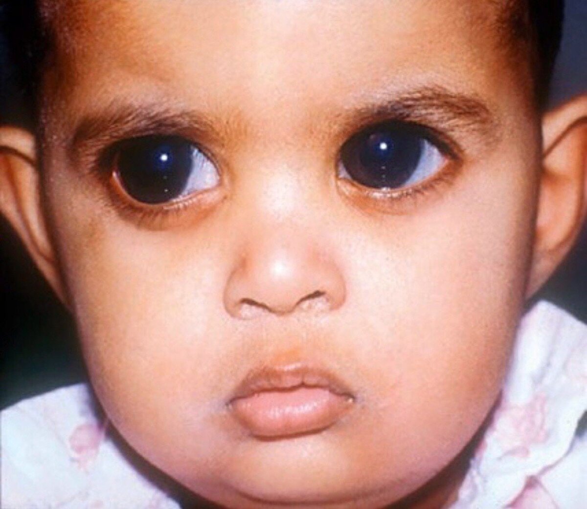 Источник: yandex.ru