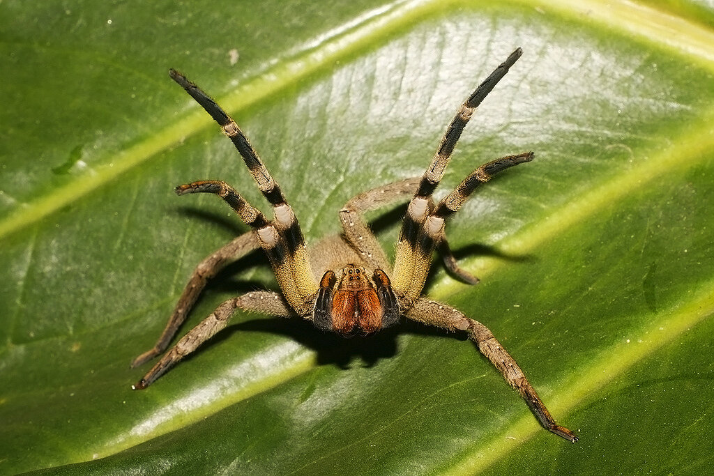 Источник: yandex.ru