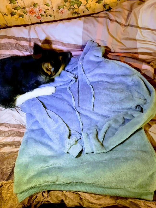 Леде тоже понравилась толстовка