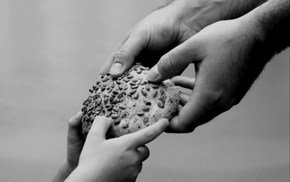 Фото взято из открытых источников