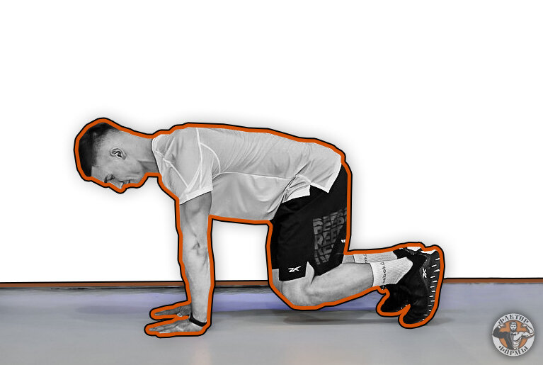 "Медвежья планка" - главная особенность в том, чтобы колени не касались пола.