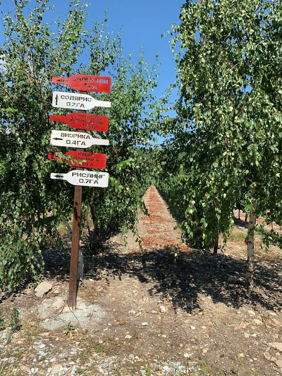 Винодельни Краснодарского края. Карта и описание | Маршруты Выгодных ...