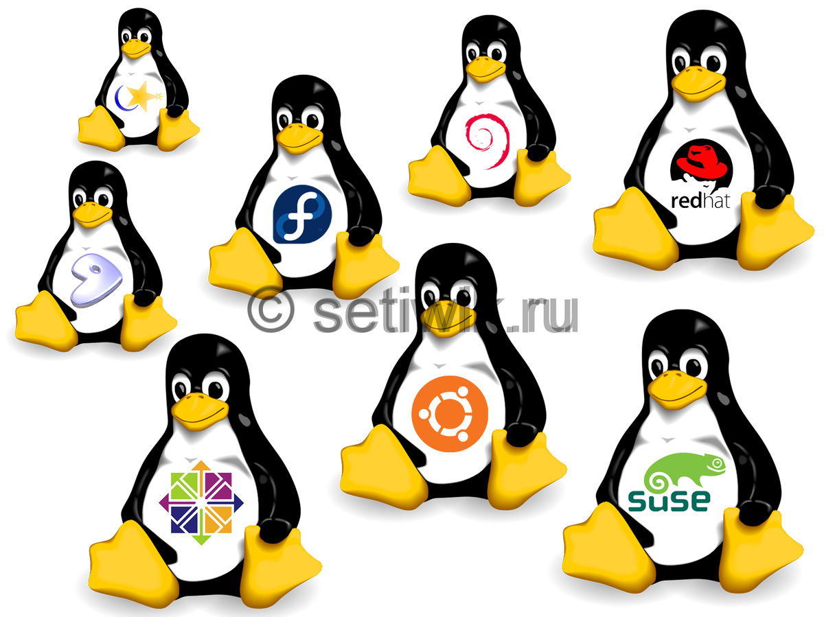 Дистрибутивы Linux