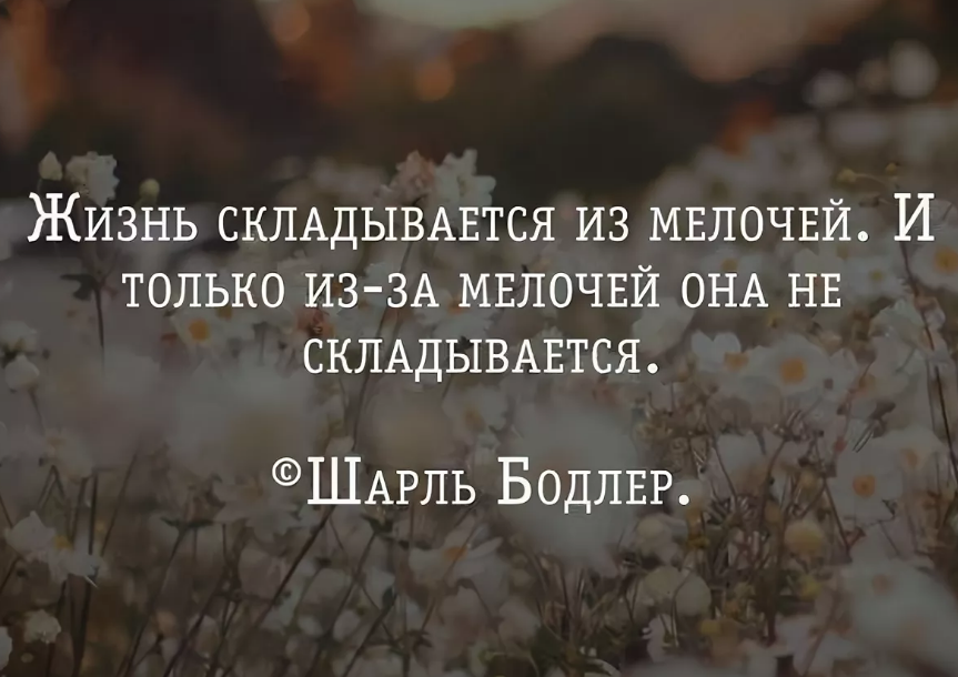 На мелочах вся жизнь. Высказывания о мелочах. Высказывания про мелочи в жизни. В мелочах цитаты. 5 Умных мыслей цитаты
