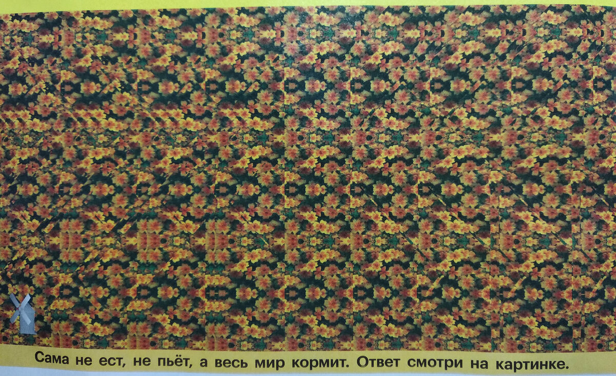 Тест-иллюзия: только люди со 100% зрением смогут найти нужное число на картинке