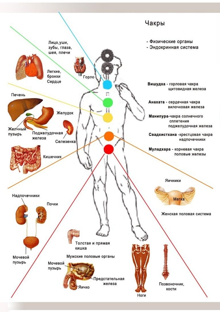 Чакры человека: что они из себя представляют и как с ними правильно работать