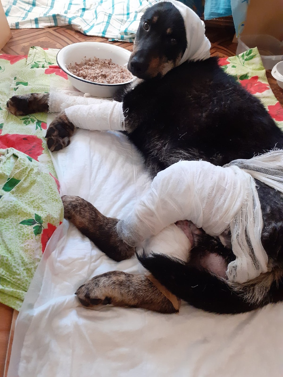 Бой, состояние на 17 мая. 