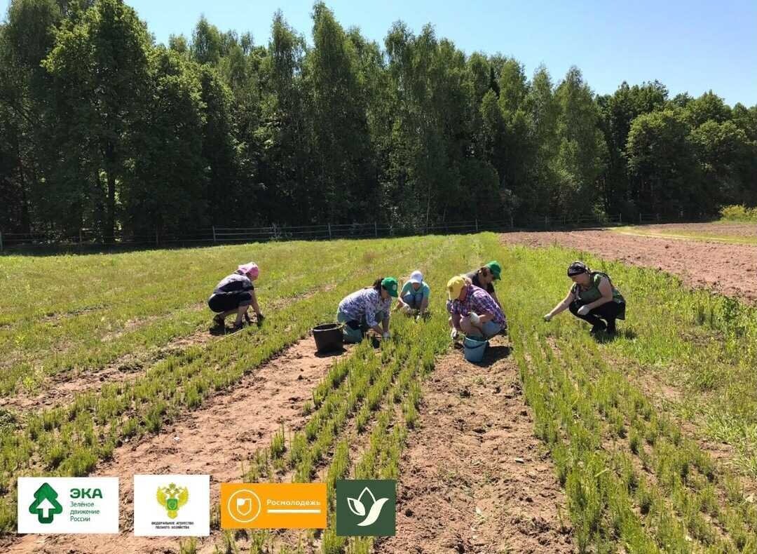 Фото: предоставлено пресс-службой Движения ЭКА