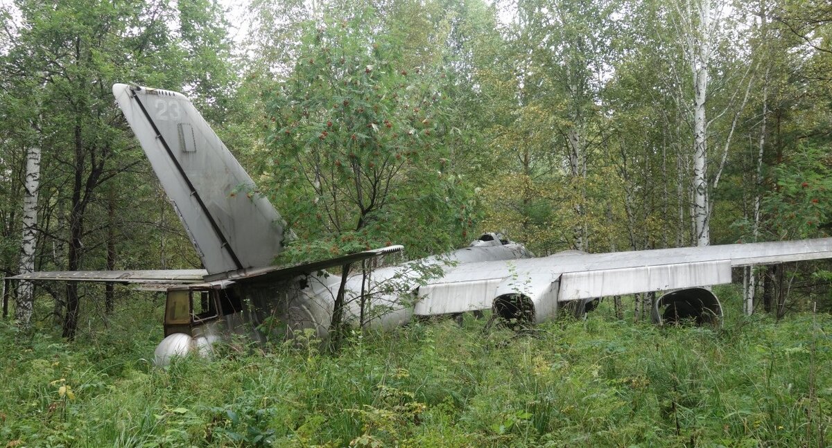 фотографии из свободного доступа.