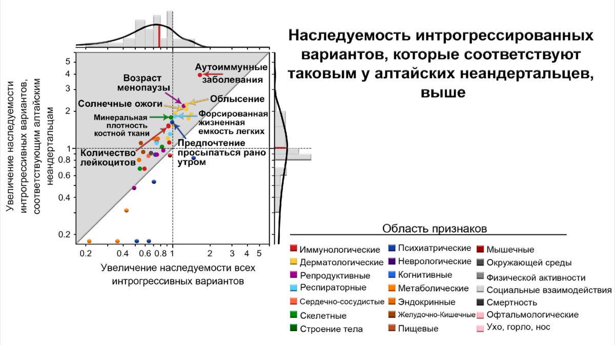 Миграция населения: понятие, причины, последствия