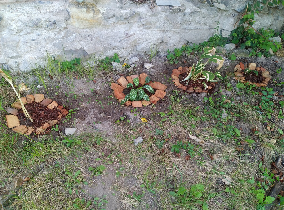 Теперь четко видно, где у меня хосты посажены