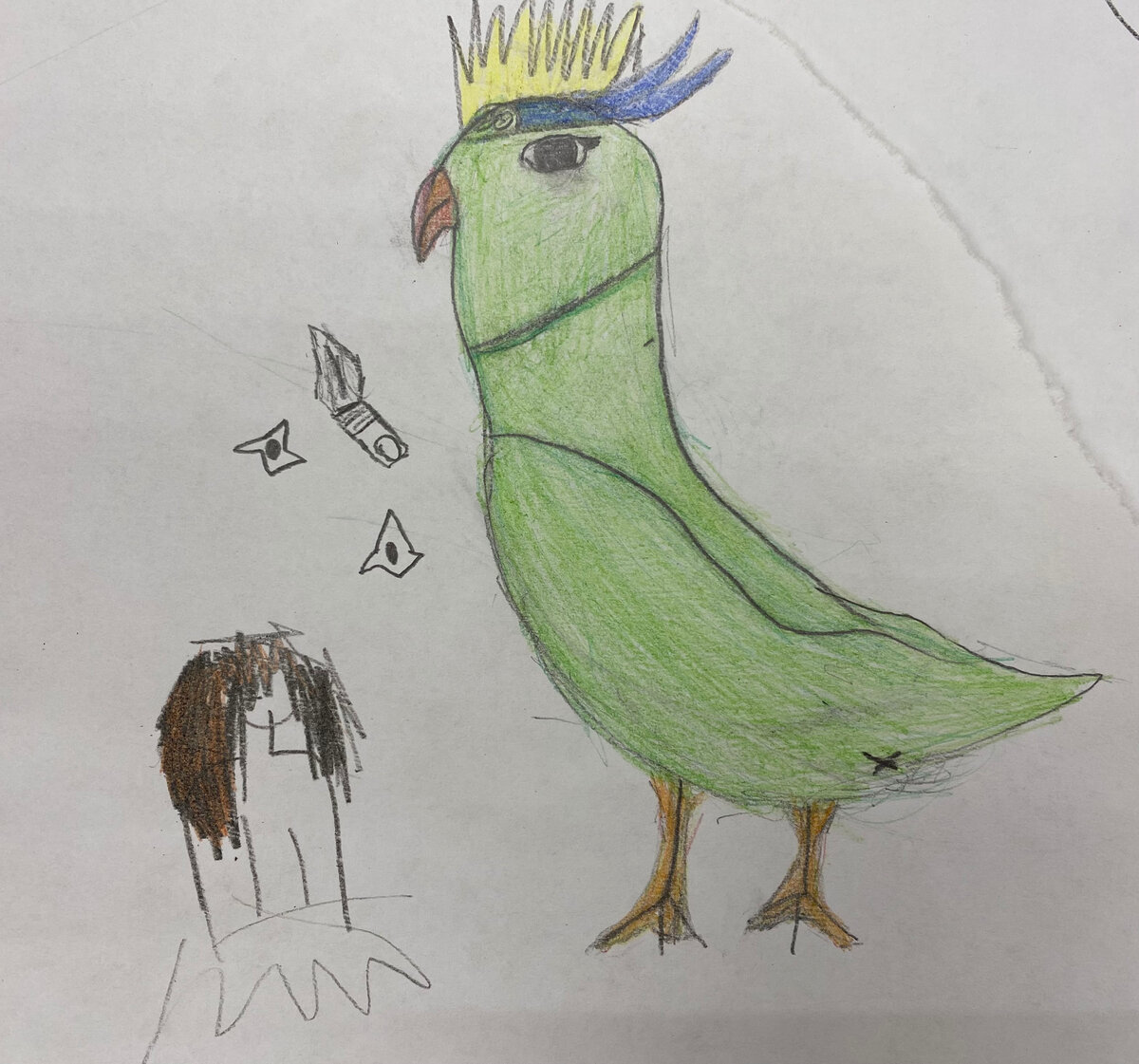 Попугай Гоша. Автор рисунка Алиса К.