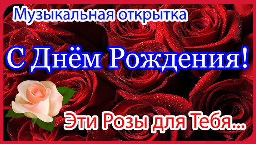 40+ красивых открыток с днем рождения женщине: скачать бесплатно в хорошем качестве