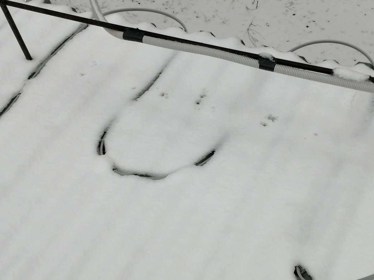 Саморегулирующийся греющий кабель. Фото из личного архива.