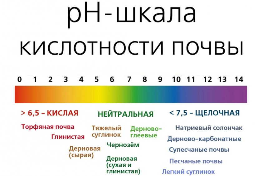 Почва щелочная что делать добавить в землю