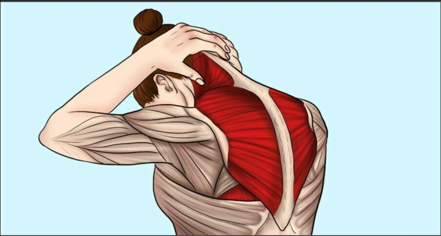 Сгибание шеи вперёд с сопротивлением