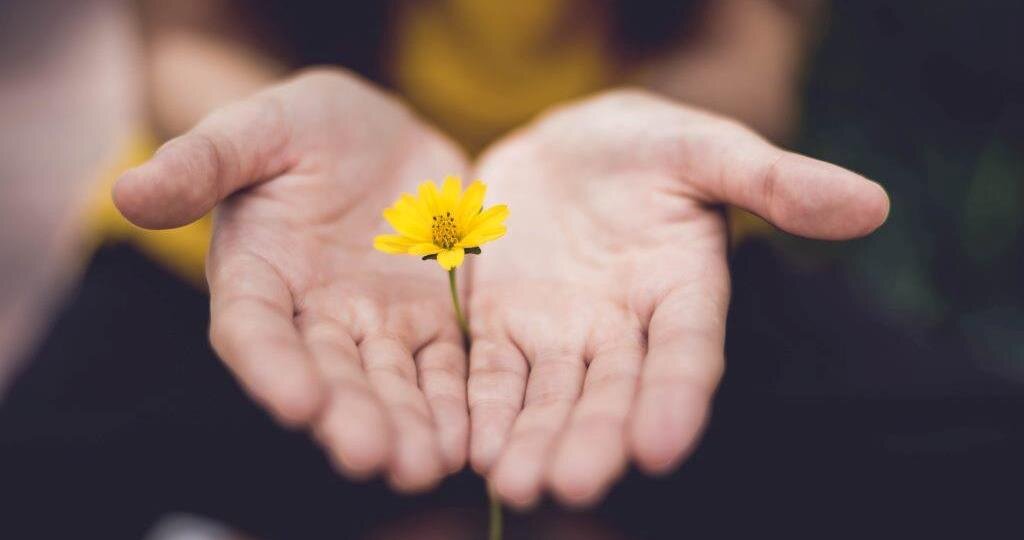 Фото: unsplash.com