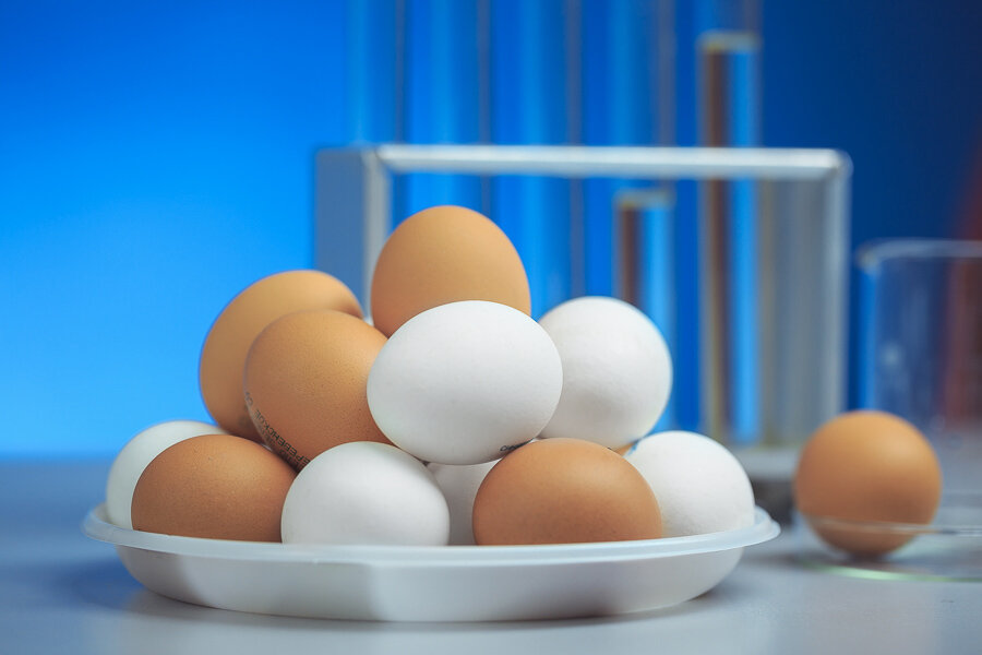 Песня где яйца. Яйцо куриное. Яйца бренды. Марки куриных яиц. Яйца и продукты птицеводства.