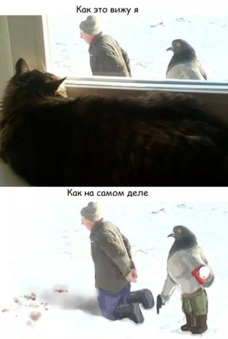 Не кормить!