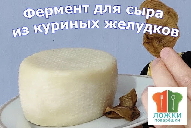 Фермент для сыра из куриных желудков