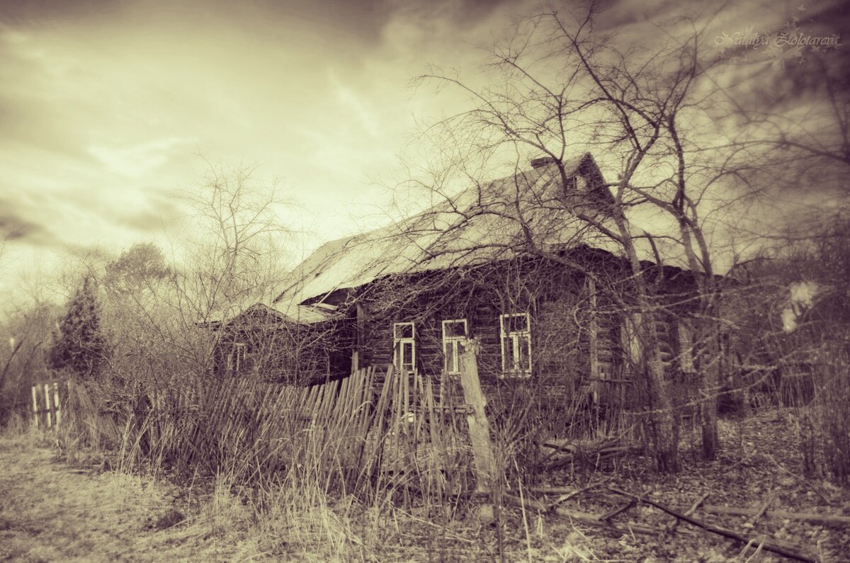Фотография из интернета 