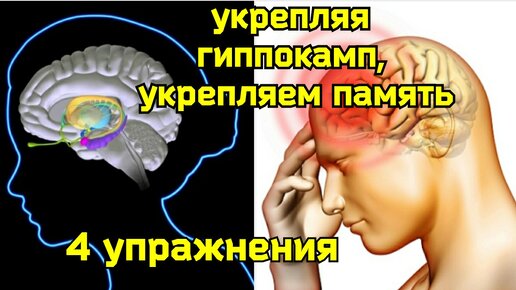 Скачать видео: Компрессия средней мозговой артерии ухудшает память, вредит мозгу. Уникальные методы укрепления