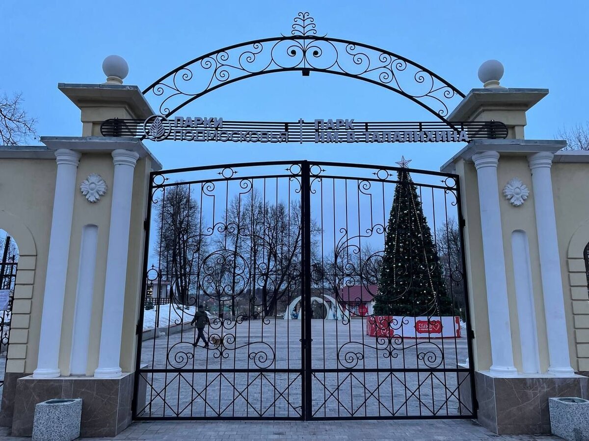 Фото: Юлия Шутихина