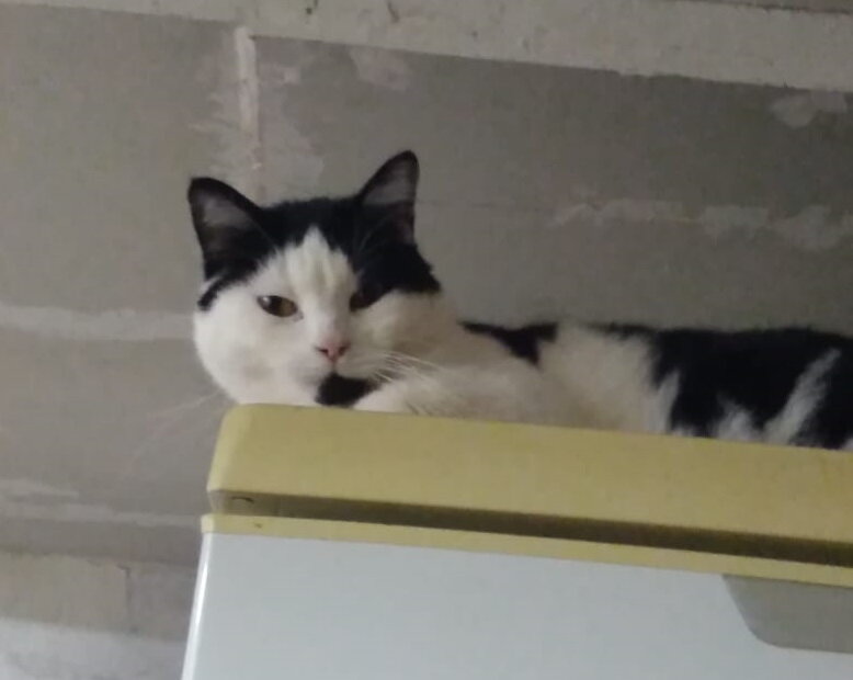 Не приставай, не до тебя!