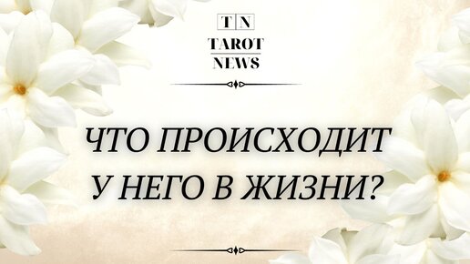 Как живет таро