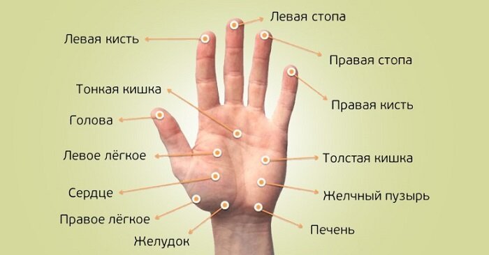 Каждый палец сопряжен с двумя органами: японский метод излечит за 5 минутлюбую хворь!