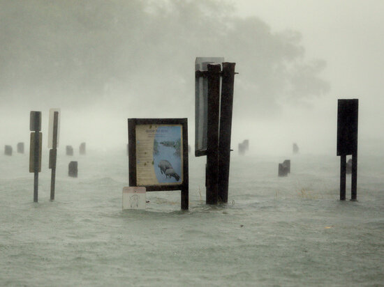 фото: AP