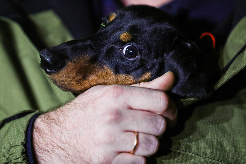 Фото: Михаил Терещенко/ТАСС