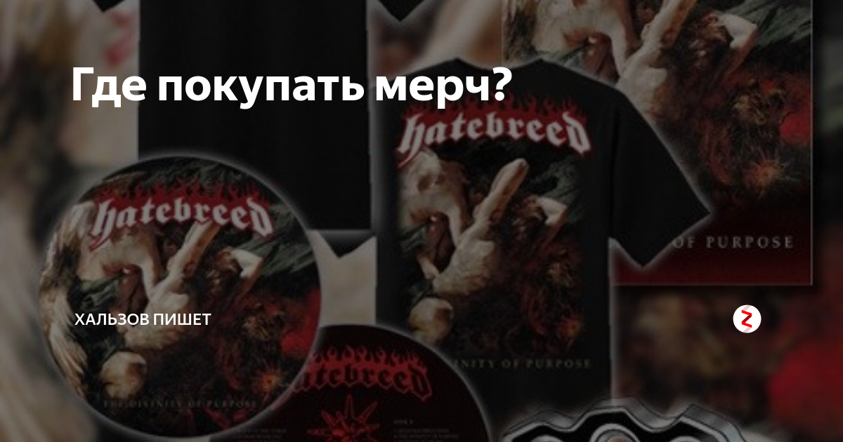 Где покупать мерч? | Хальзов пишет | Дзен
