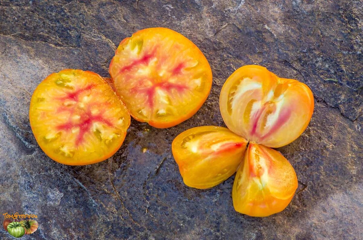 семена томат желто-розовый бабушки виней 5шт мязина. томат бабушка виней. томат желто розовый бабушки виней.
