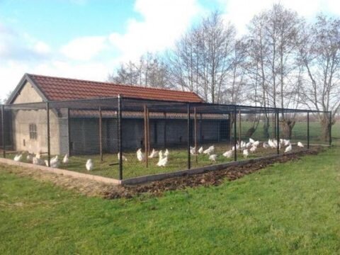  Кирпичная хозпостройка для птицы