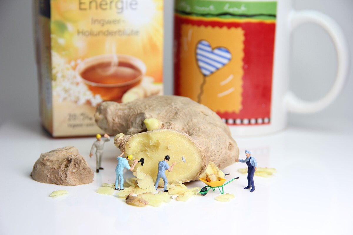 Свежий корень имбиря.