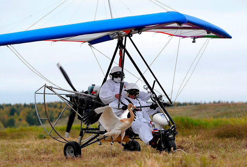 Фото из сети