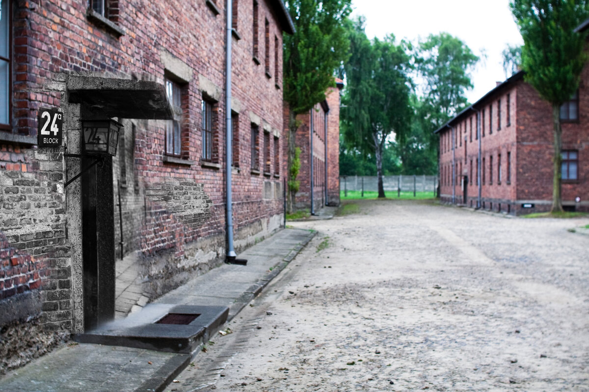 концлагерь аушвиц-биркенау освенцим польша. хелмно концентрационный лагерь. 93 фрагмента книги «биркенау». асвенсон лагерь в польше концлагерь. лагерь аушвиц-биркенау.